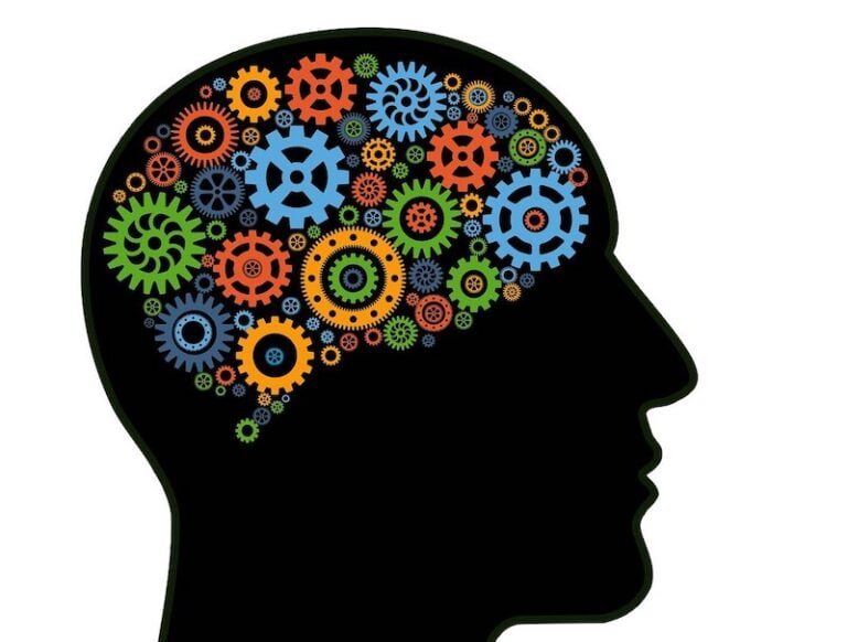 El impacto del gluten en el cerebro
